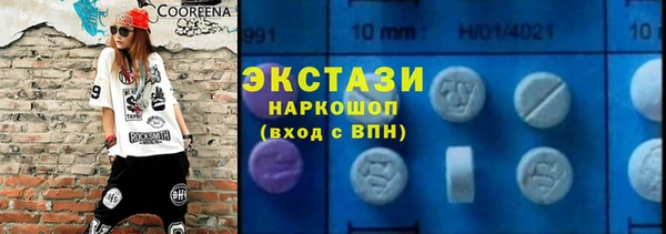 гашик Алексин