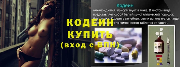 гашик Алексин