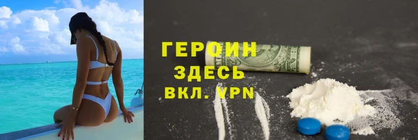 гашик Алексин