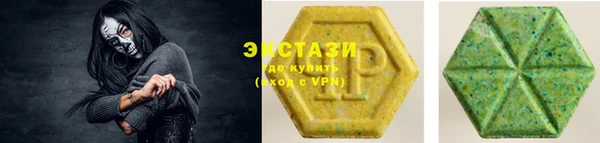 гашик Алексин