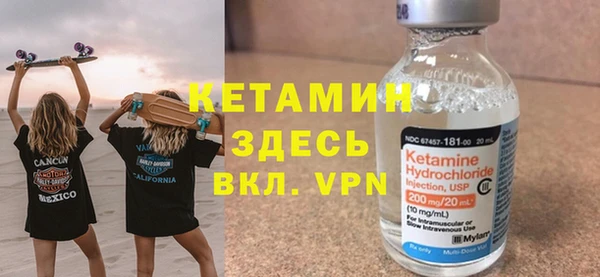 гашик Алексин