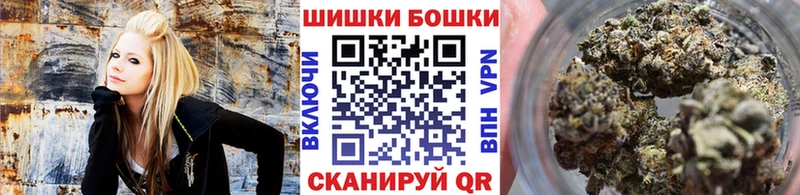 Конопля White Widow  где купить наркоту  kraken ССЫЛКА  Морозовск 